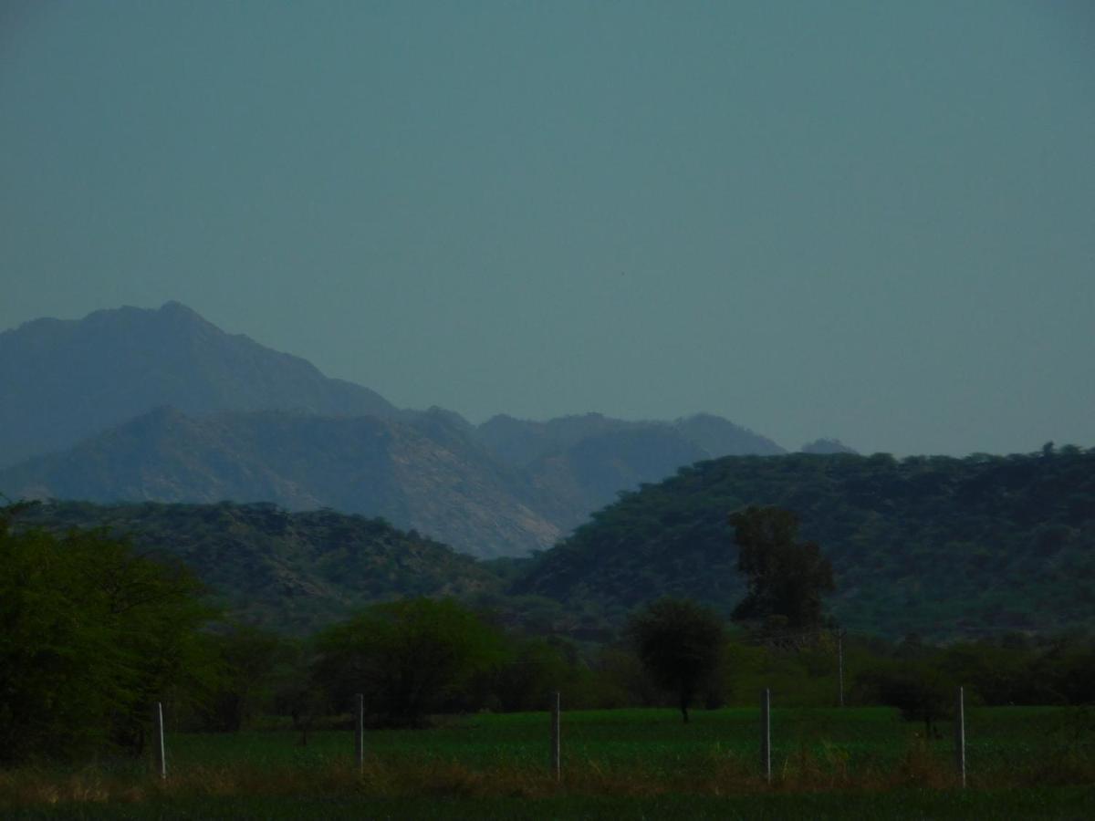 Jawai Bera Leopard Camp Hotel Exterior photo